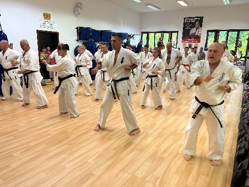 Seishin Dojo 十五 (15.) szülinapi ünneplés 🎂🥂