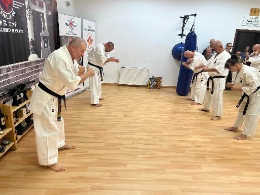 Seishin Dojo 十五 (15.) szülinapi ünneplés 🎂🥂