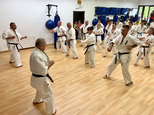 Seishin Dojo 十五 (15.) szülinapi ünneplés 🎂🥂