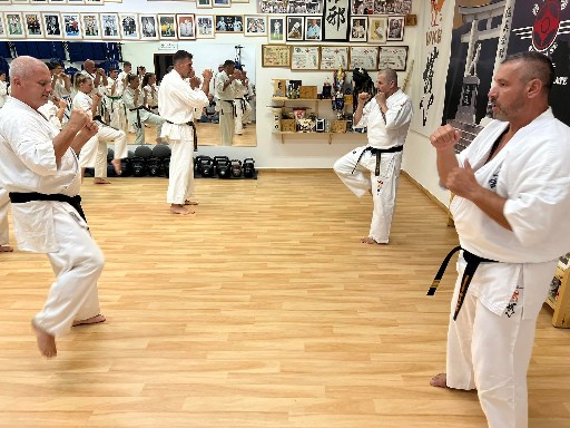 Seishin Dojo 十五 (15.) szülinapi ünneplés 🎂🥂