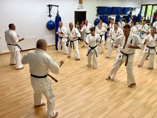 Seishin Dojo 十五 (15.) szülinapi ünneplés 🎂🥂