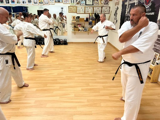 Seishin Dojo 十五 (15.) szülinapi ünneplés 🎂🥂