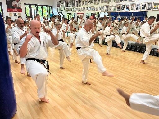 Seishin Dojo 十五 (15.) szülinapi ünneplés 🎂🥂