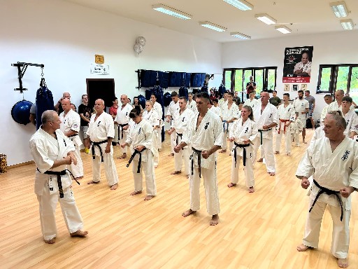 Seishin Dojo 十五 (15.) szülinapi ünneplés 🎂🥂