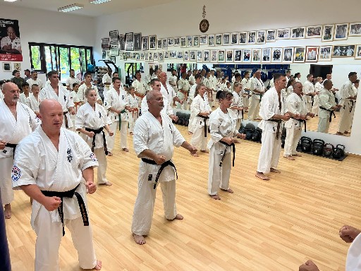 Seishin Dojo 十五 (15.) szülinapi ünneplés 🎂🥂