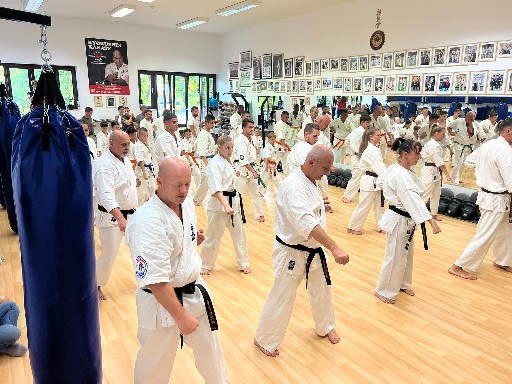 Seishin Dojo 十五 (15.) szülinapi ünneplés 🎂🥂