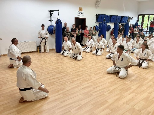 Seishin Dojo 十五 (15.) szülinapi ünneplés 🎂🥂
