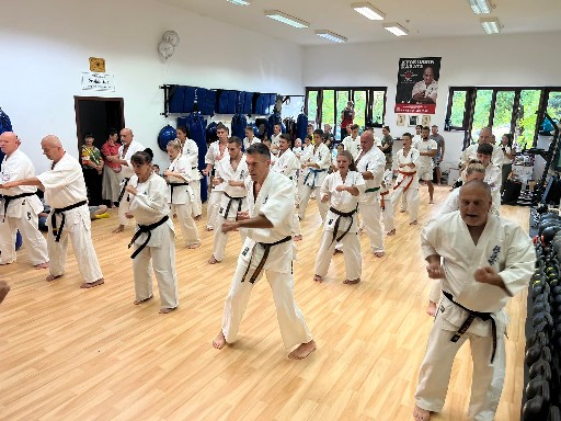 Seishin Dojo 十五 (15.) szülinapi ünneplés 🎂🥂