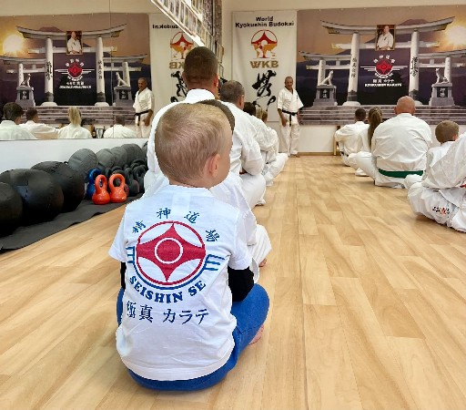 Seishin Dojo 十五 (15.) szülinapi ünneplés 🎂🥂