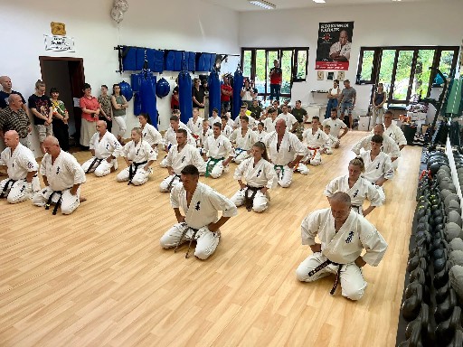 Seishin Dojo 十五 (15.) szülinapi ünneplés 🎂🥂