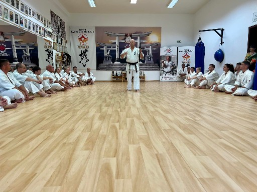 Seishin Dojo 十五 (15.) szülinapi ünneplés 🎂🥂