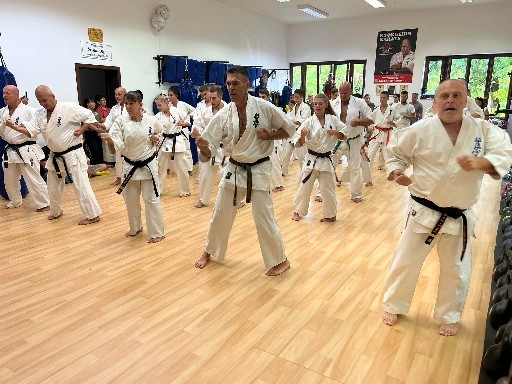 Seishin Dojo 十五 (15.) szülinapi ünneplés 🎂🥂