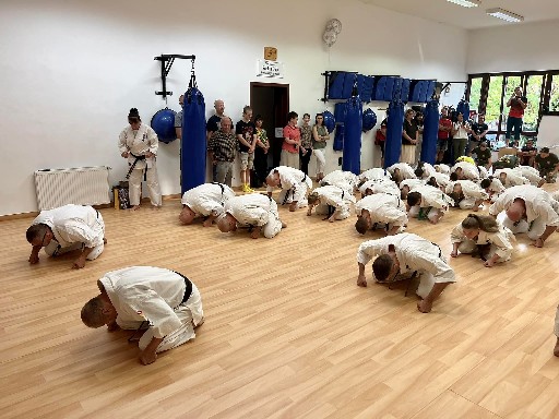 Seishin Dojo 十五 (15.) szülinapi ünneplés 🎂🥂
