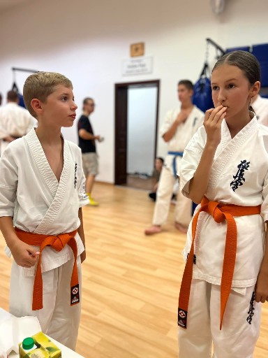Seishin Dojo 十五 (15.) szülinapi ünneplés 🎂🥂
