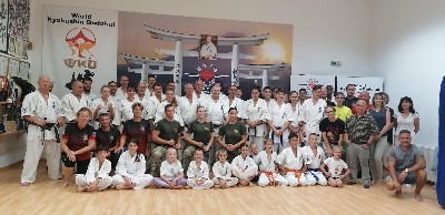 Seishin Dojo 十五 (15.) szülinapi ünneplés 🎂🥂