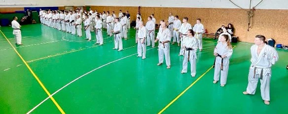 Szeminárium Sensei Rózsa Gáborral a Seishin Dójóban