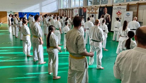 Szeminárium Sensei Rózsa Gáborral a Seishin Dójóban