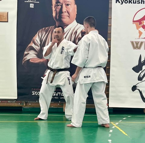 Szeminárium Sensei Rózsa Gáborral a Seishin Dójóban