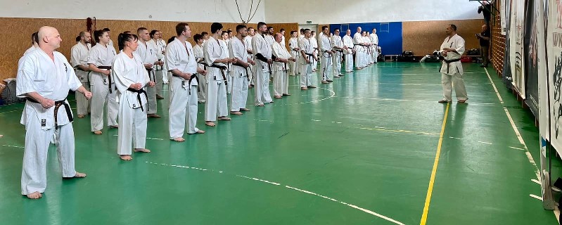 Szeminárium Sensei Rózsa Gáborral a Seishin Dójóban