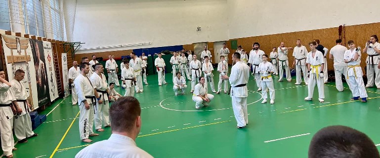 Szeminárium Sensei Rózsa Gáborral a Seishin Dójóban
