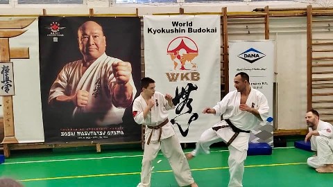 Szeminárium Sensei Rózsa Gáborral a Seishin Dójóban