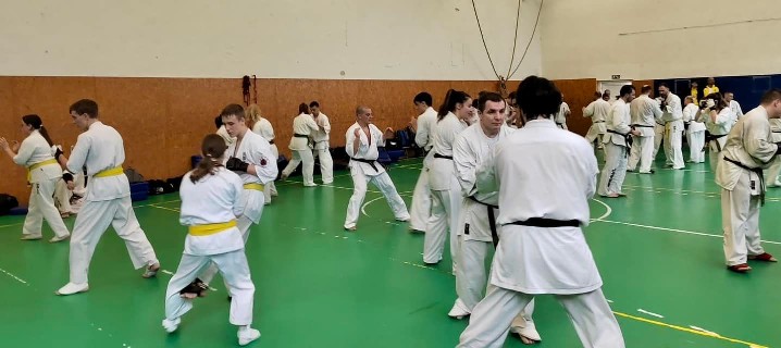Szeminárium Sensei Rózsa Gáborral a Seishin Dójóban