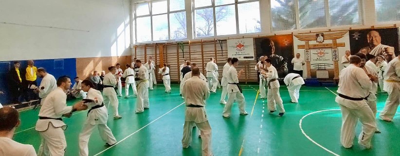 Szeminárium Sensei Rózsa Gáborral a Seishin Dójóban