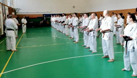 Szeminárium Sensei Rózsa Gáborral a Seishin Dójóban