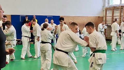 Szeminárium Sensei Rózsa Gáborral a Seishin Dójóban