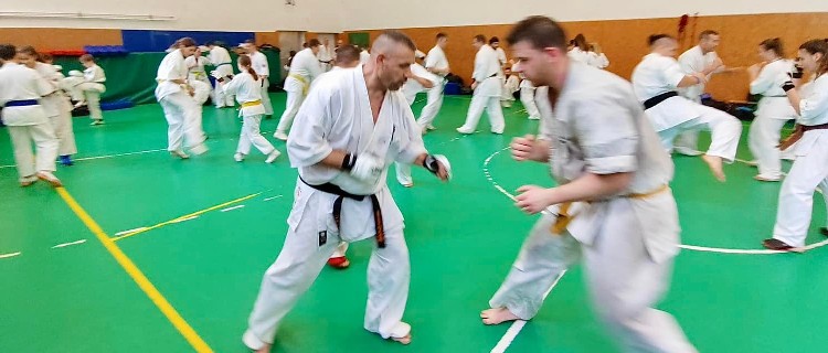 Szeminárium Sensei Rózsa Gáborral a Seishin Dójóban