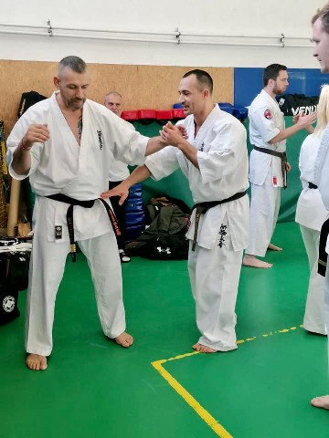 Szeminárium Sensei Rózsa Gáborral a Seishin Dójóban