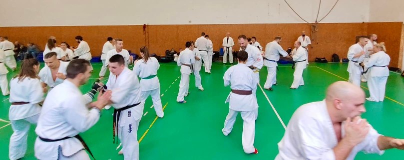 Szeminárium Sensei Rózsa Gáborral a Seishin Dójóban