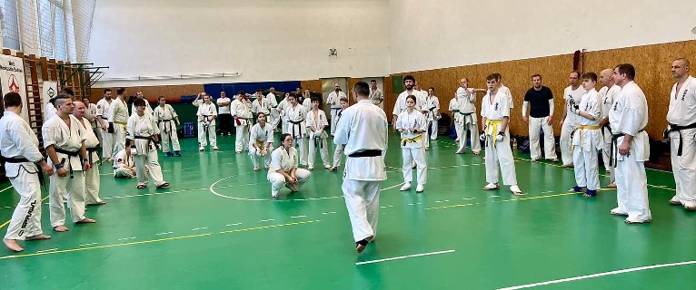 Szeminárium Sensei Rózsa Gáborral a Seishin Dójóban