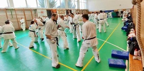 Szeminárium Sensei Rózsa Gáborral a Seishin Dójóban