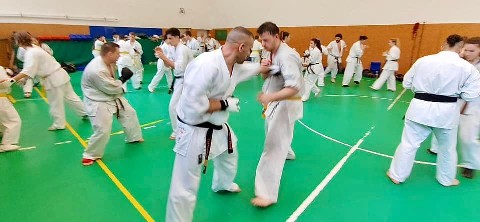 Szeminárium Sensei Rózsa Gáborral a Seishin Dójóban