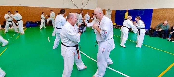 Szeminárium Sensei Rózsa Gáborral a Seishin Dójóban