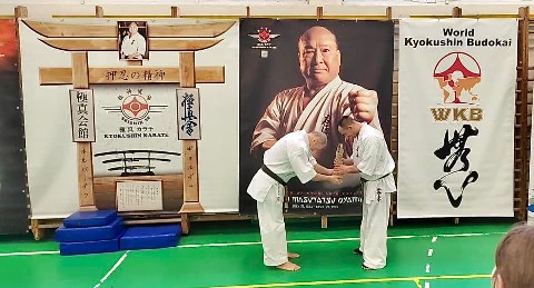 Szeminárium Sensei Rózsa Gáborral a Seishin Dójóban