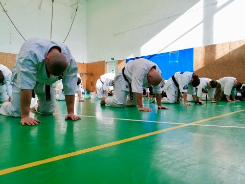 Szeminárium Sensei Rózsa Gáborral a Seishin Dójóban