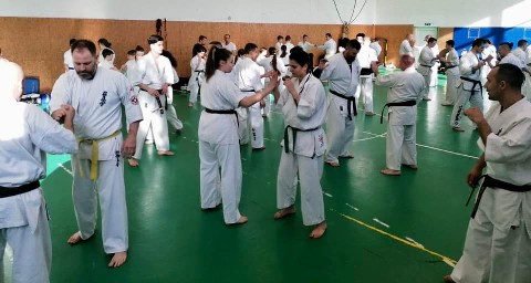 Szeminárium Sensei Rózsa Gáborral a Seishin Dójóban