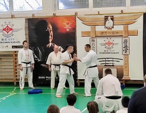 Szeminárium Sensei Rózsa Gáborral a Seishin Dójóban