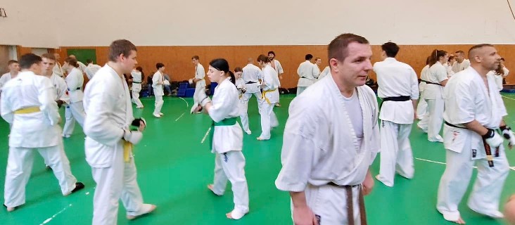 Szeminárium Sensei Rózsa Gáborral a Seishin Dójóban
