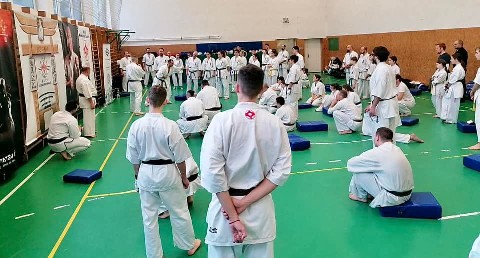 Szeminárium Sensei Rózsa Gáborral a Seishin Dójóban