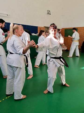 Szeminárium Sensei Rózsa Gáborral a Seishin Dójóban