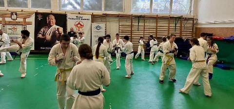 Szeminárium Sensei Rózsa Gáborral a Seishin Dójóban
