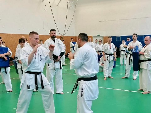 Szeminárium Sensei Rózsa Gáborral a Seishin Dójóban