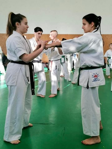 Szeminárium Sensei Rózsa Gáborral a Seishin Dójóban