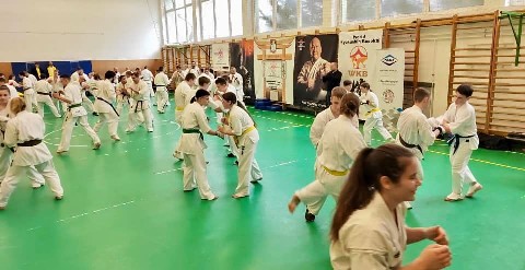 Szeminárium Sensei Rózsa Gáborral a Seishin Dójóban