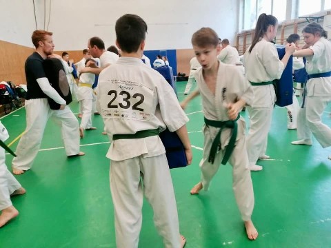 Szeminárium Sensei Rózsa Gáborral a Seishin Dójóban