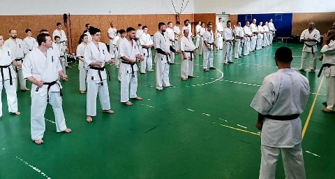 Szeminárium Sensei Rózsa Gáborral a Seishin Dójóban