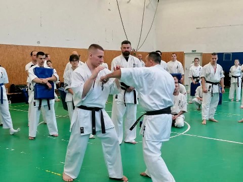 Szeminárium Sensei Rózsa Gáborral a Seishin Dójóban